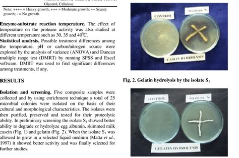 Casein Hydrolysis .